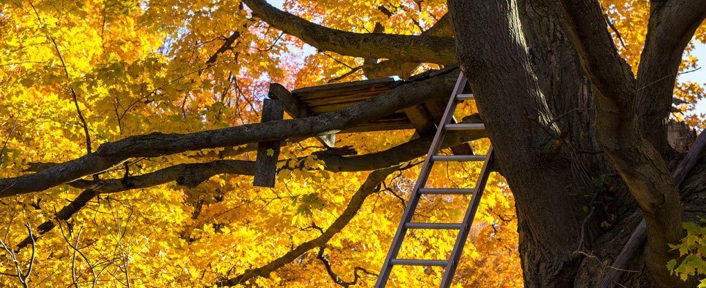 metal tree stands deer hunting