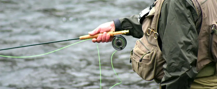 Fly fishing for bass